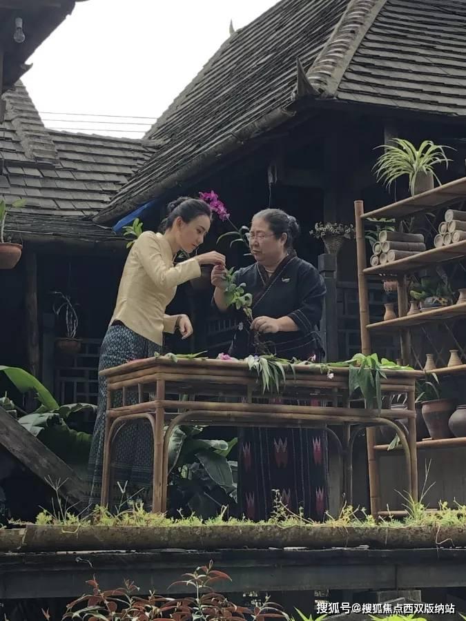 逃离弗农的房子