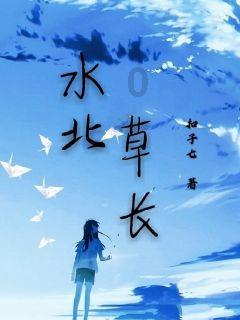 武斗纹章2初篇