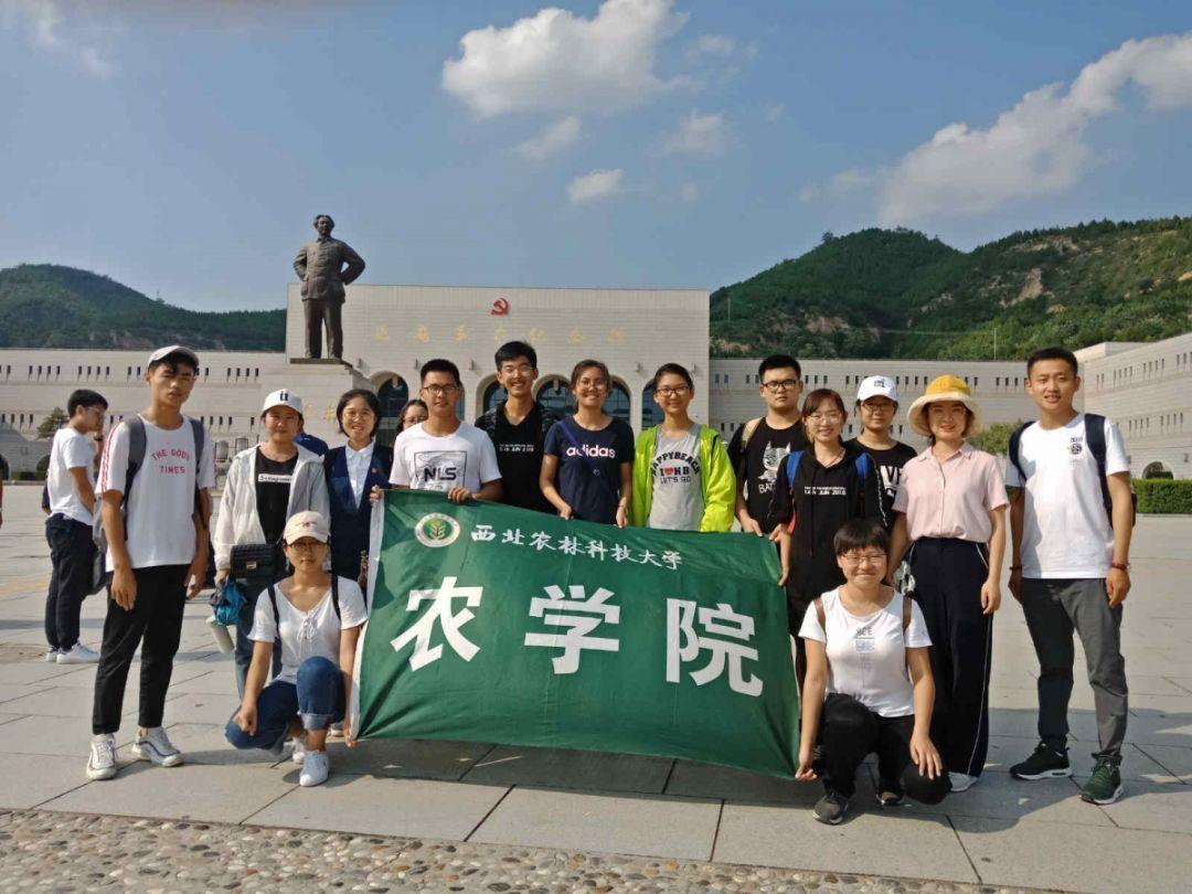 西班牙的治安到底怎么样