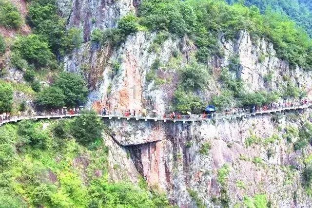 和平区八一早市市场管理部门接到群众举报商贩误导消费