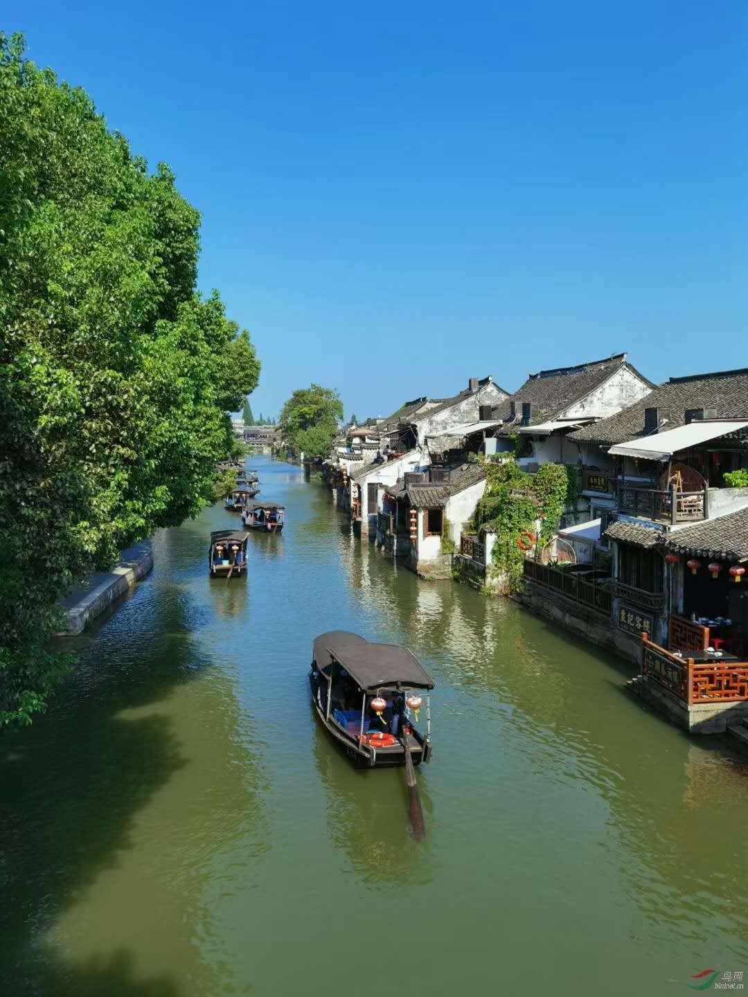 新倩女幽魂用黑科技打造万里荧光海,化身鲛人成为南海霸主