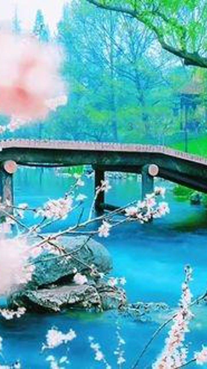 云雾高塔之重生
